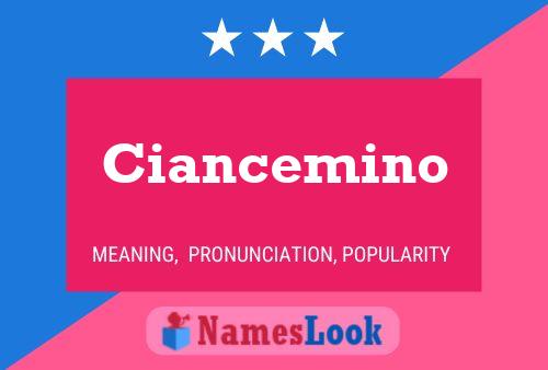 Ciancemino Name Poster