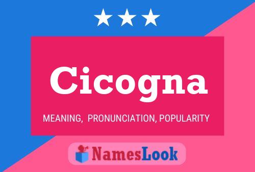 Cicogna Name Poster