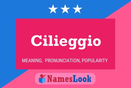 Cilieggio Name Poster