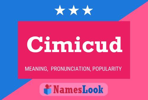 Cimicud Name Poster