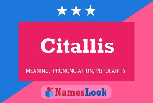 Citallis Name Poster