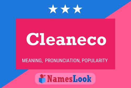 Cleaneco Name Poster