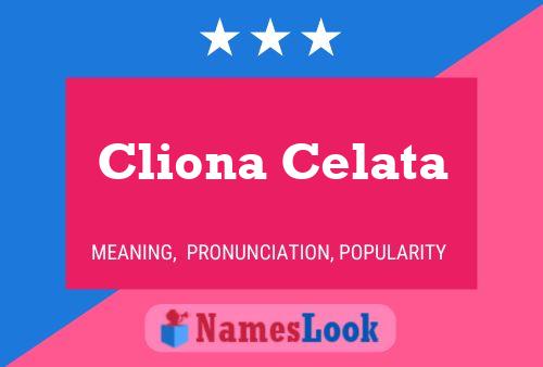 Cliona Celata Name Poster