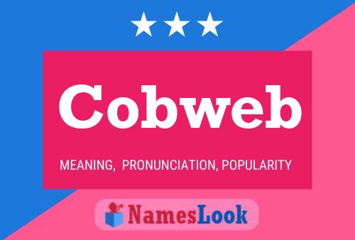 Cobweb Name Poster