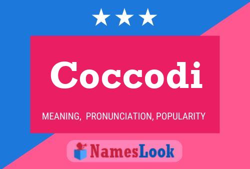 Coccodi Name Poster