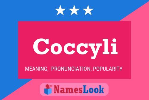 Coccyli Name Poster