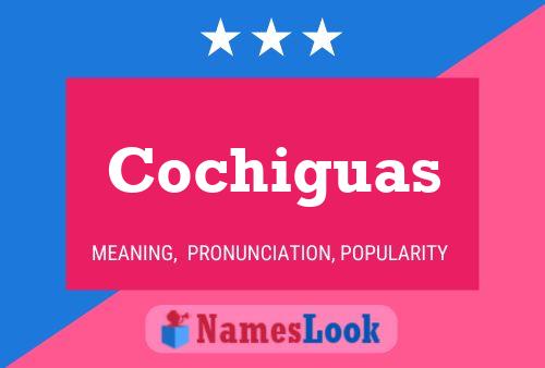 Cochiguas Name Poster