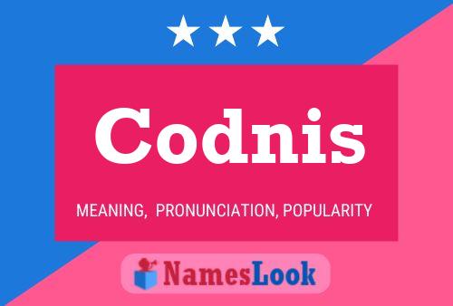 Codnis Name Poster