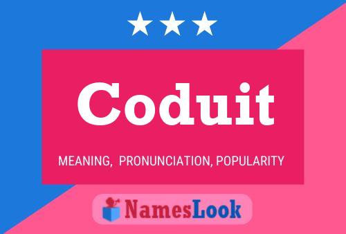 Coduit Name Poster