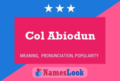 Col Abiodun Name Poster