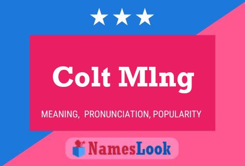 Colt Mlng Name Poster