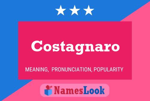 Costagnaro Name Poster