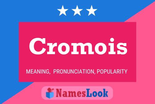 Cromois Name Poster