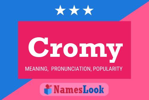 Cromy Name Poster