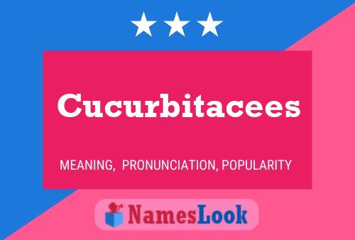 Cucurbitacees Name Poster