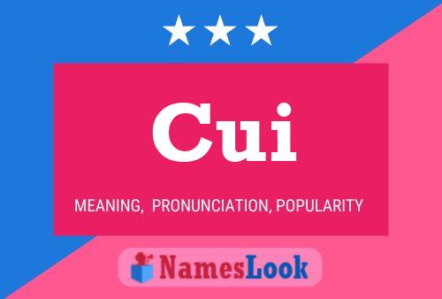 Cui Name Poster