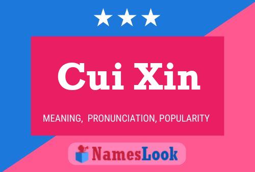 Cui Xin Name Poster