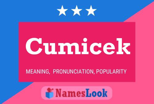 Cumicek Name Poster