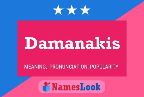 Damanakis Name Poster