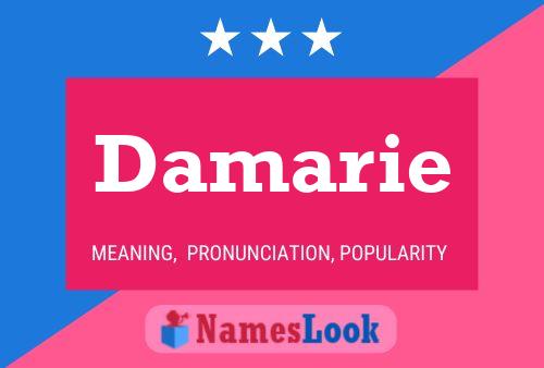 Damarie Name Poster