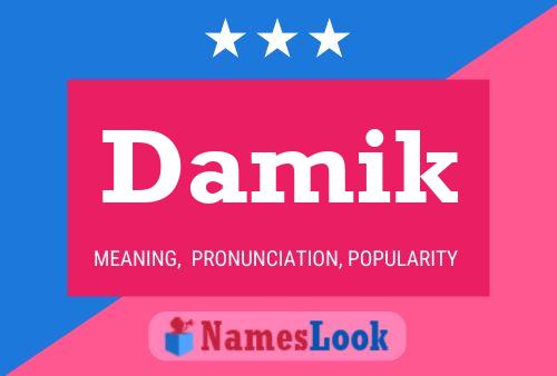 Damik Name Poster