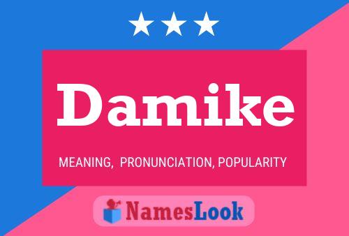 Damike Name Poster