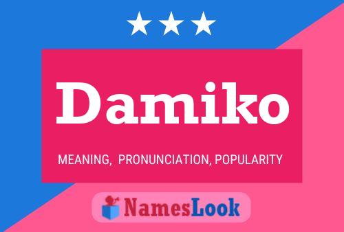 Damiko Name Poster