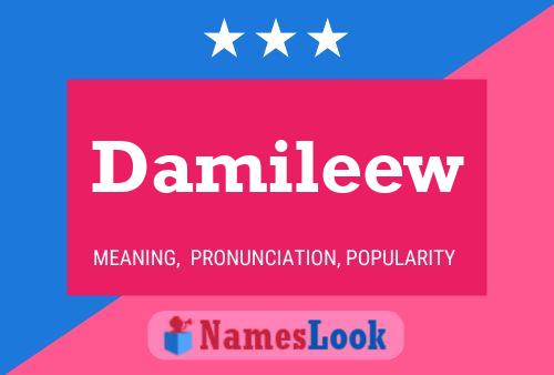 Damileew Name Poster