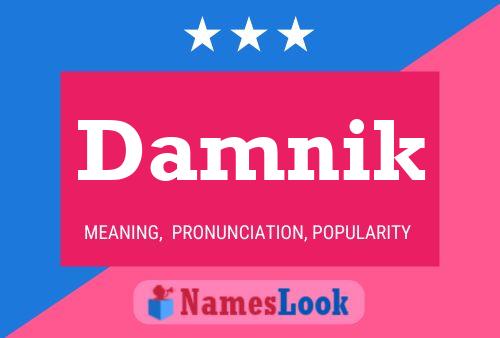 Damnik Name Poster