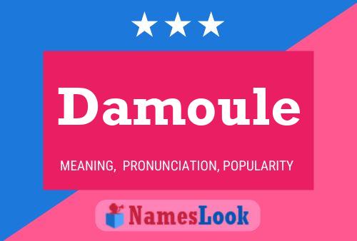 Damoule Name Poster