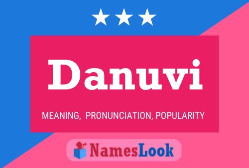 Danuvi Name Poster