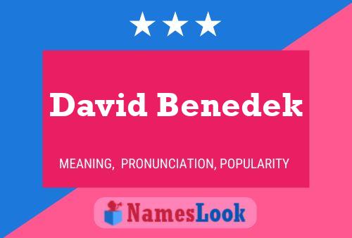 David Benedek Name Poster