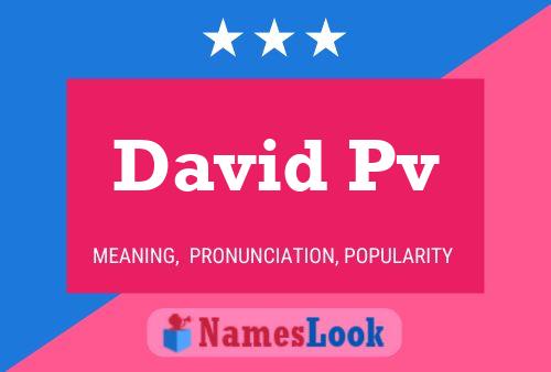 David Pv Name Poster