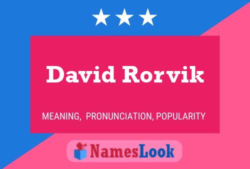 David Rorvik Name Poster