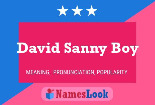 David Sanny Boy Name Poster