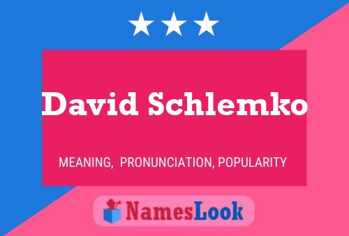 David Schlemko Name Poster