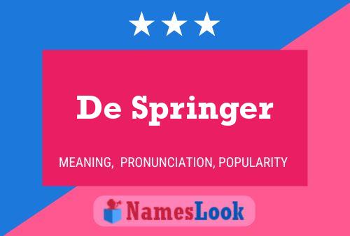 De Springer Name Poster