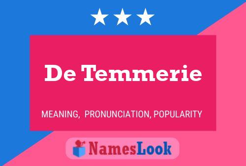 De Temmerie Name Poster