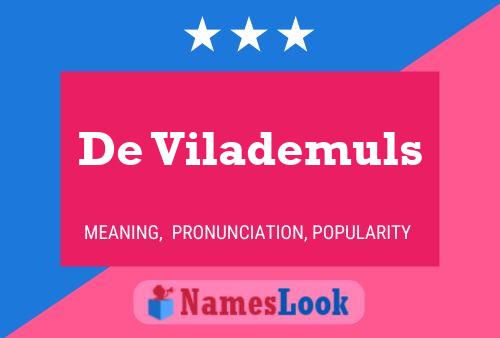 De Vilademuls Name Poster