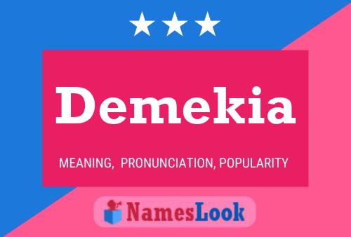 Demekia Name Poster