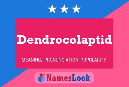 Dendrocolaptid Name Poster