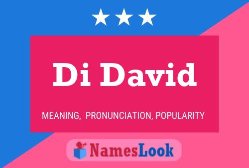 Di David Name Poster