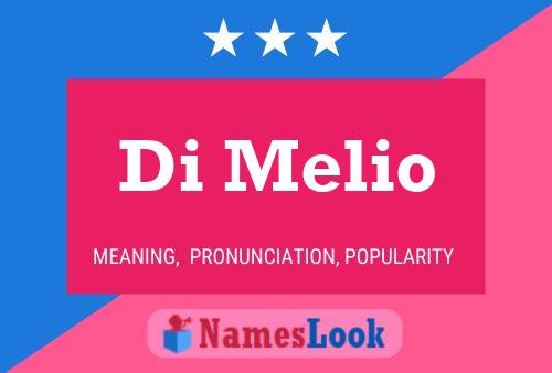 Di Melio Name Poster