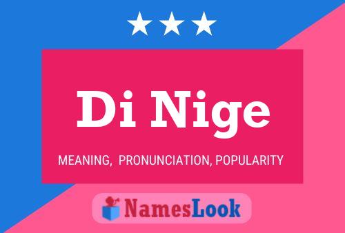 Di Nige Name Poster