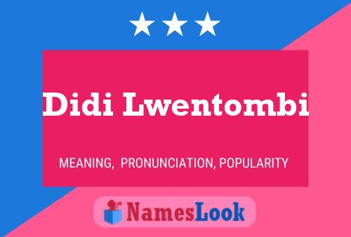 Didi Lwentombi Name Poster