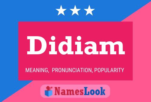 Didiam Name Poster