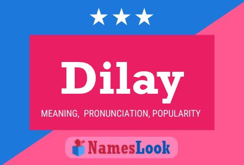 Dilay Name Poster