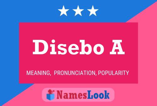 Disebo A Name Poster