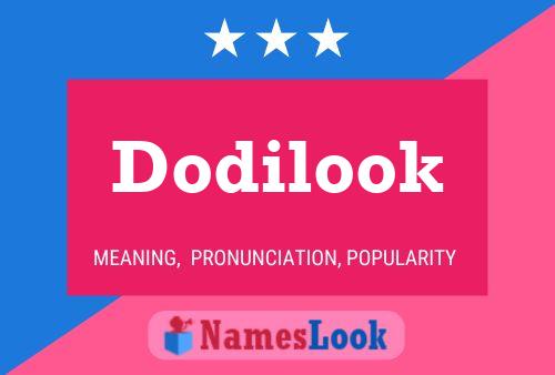 Dodilook Name Poster