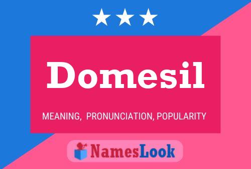 Domesil Name Poster